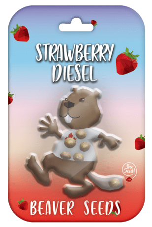 Strawberry Diesel Strain