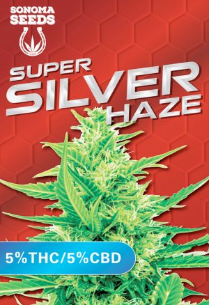 super silver haze strain
